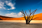 View of Sossusvlei, in the Namib Desert, Namibia