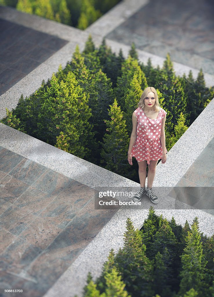 Concrete Vs Forest