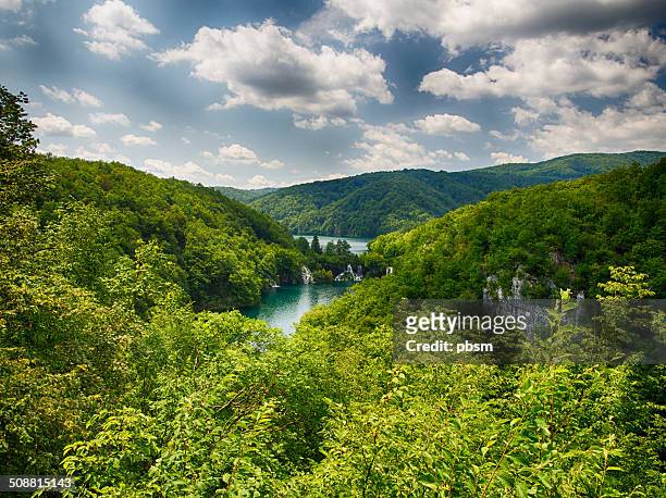 view from top on plitvice lake national park - plitvicka jezera croatia stock pictures, royalty-free photos & images