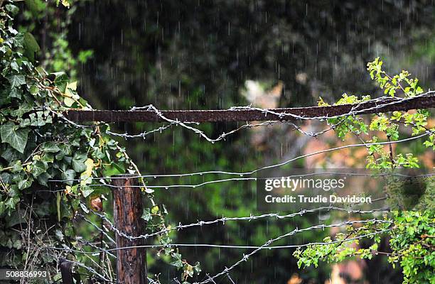 barbed wire in the rain - no trespassing segnale inglese foto e immagini stock