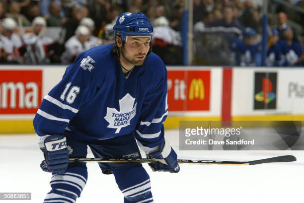 Darcy Tucker of the Toronto Maple Leafs lines up for the faceoff against the Ottawa Senators during game two of the Eastern Conference Quarterfinals...