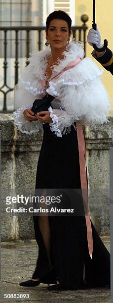 Princess Caroline of Hanover arrives to attend a gala dinner at El Pardo Royal Palace on May 21, 2004 in Madrid, Spain. Spanish Crown Prince Felipe...