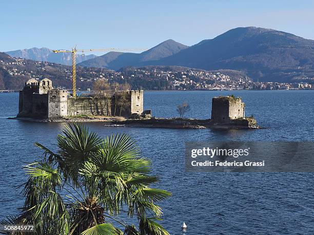 castles of cannero with palm trees in the foreground. - cannero riviera stock pictures, royalty-free photos & images