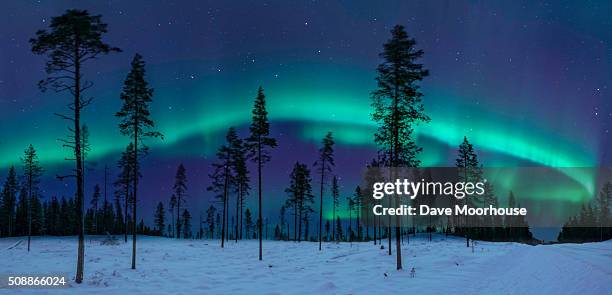 the aurora & the great bear - aurora borealis kiruna stockfoto's en -beelden