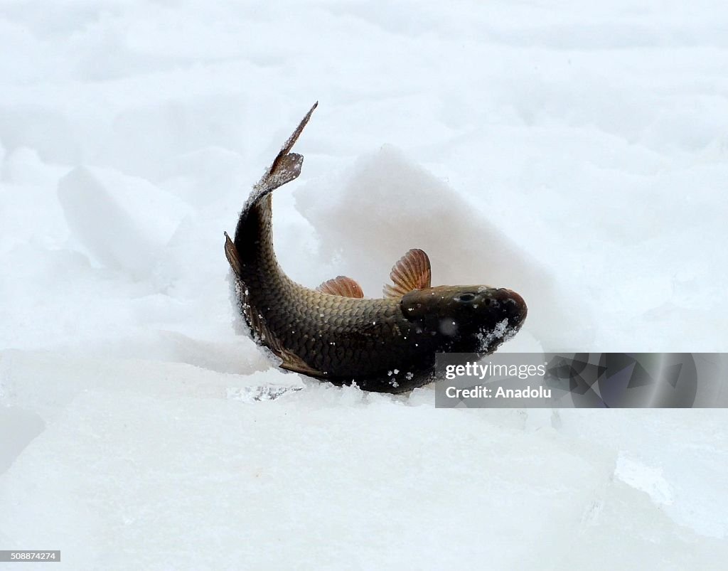 Fishing over frozen lake in Turkey's Bitlis