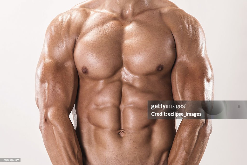 Perfect male torso