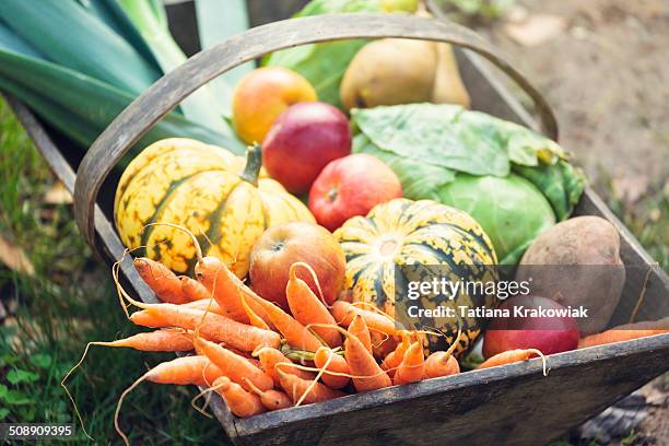 cesta llena de madera frescas, vegetales orgánicos - canasta fotografías e imágenes de stock