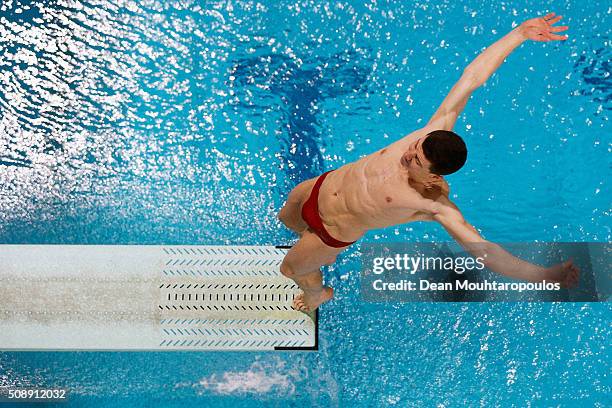 Joey van Etten of the Netherlands competes in the Mens 1m Springboard Final during the Senet Diving Cup held at Pieter van den Hoogenband Swimming...