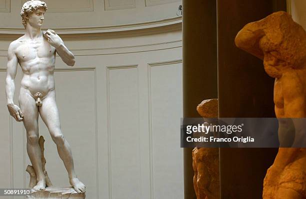Restoration work on Michelangelo's masterpiece David is completed May 24, 2004 at the Galleria dell'Accademia in Florence, Italy. The work has taken...