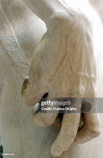 David Hand Man Michelangelos David Photos and Premium High Res Pictures - Getty Images