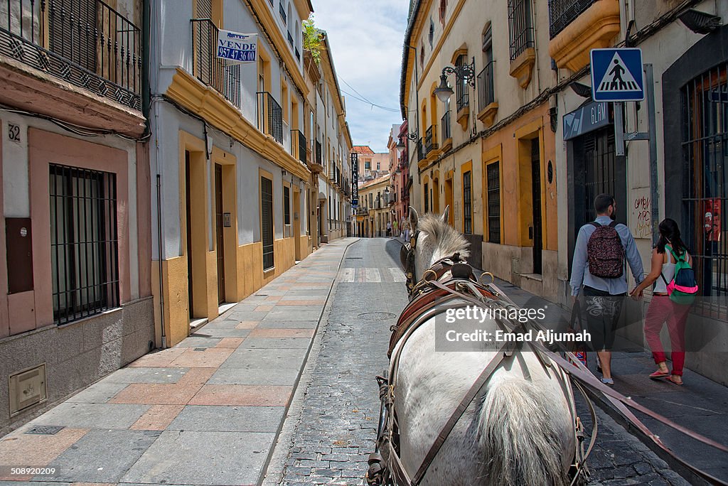 Tour of Cordoba in a Horse Carriage