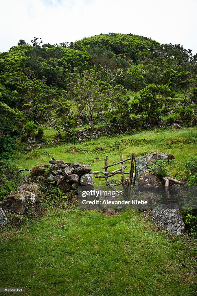 A green gate in the mountains