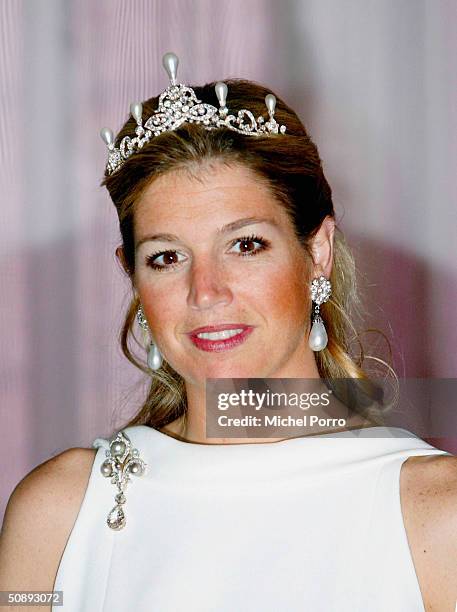 Dutch Princess Maxima smiles during a group photo with visiting Swiss President Joseph Deiss May 24, 2004 in Amsterdam, The Netherlands.