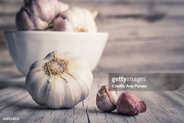 garlic bulbs and cloves - garlic clove - fotografias e filmes do acervo