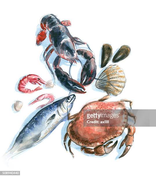 ilustraciones, imágenes clip art, dibujos animados e iconos de stock de acuarela de pescados y mariscos - pescado y mariscos