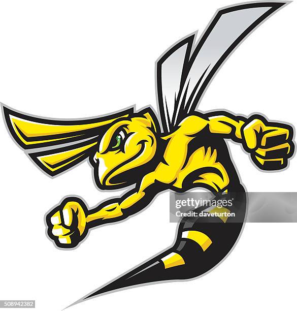hornet fierce - hornet stock illustrations