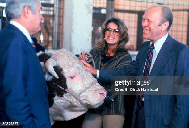 American president Gerald Ford pets a cow as he shares a laugh with former Texas governor John Connally and and unidentified woman at Texas State...