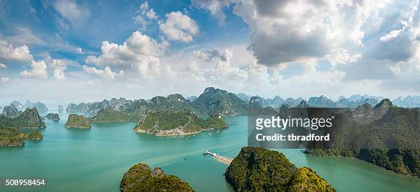 karst island landscape in halong bay, vietnam - halong bay stockfoto's en -beelden