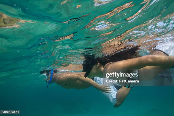 attractive young adult friends snorkeling together in tropical waters - kauai stock pictures, royalty-free photos & images