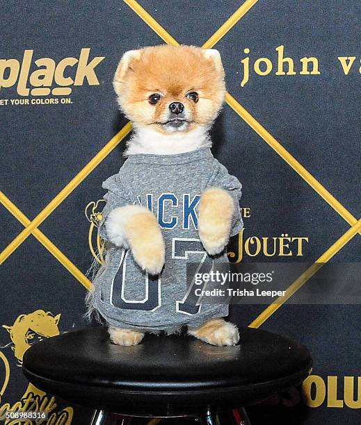 Jiffpom at the red carpet at Maxim Magazine And Bootsy Bellows Super Bowl Party 2016 at Treasure Island on February 6, 2016 in San Francisco,...