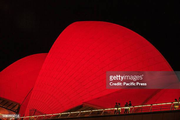 The sails of the Opera house bathed in red the Chinese color for luck. Claudia Chan Shaw's 14 Zodiac rabbit lanterns in Tai Chi poses at Customs...