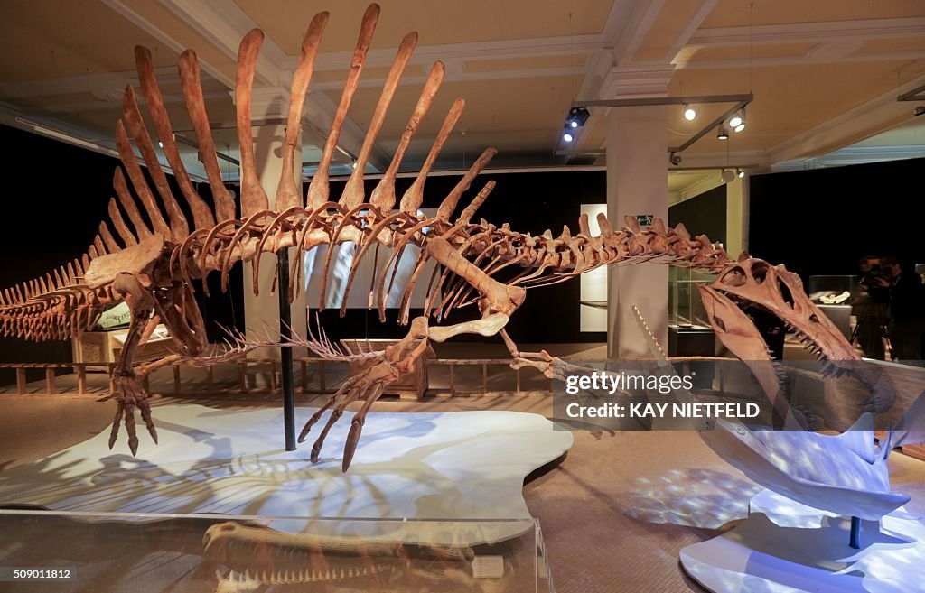 GERMANY-MUSEUM-NATURAL-HISTORY-DINOSAURS