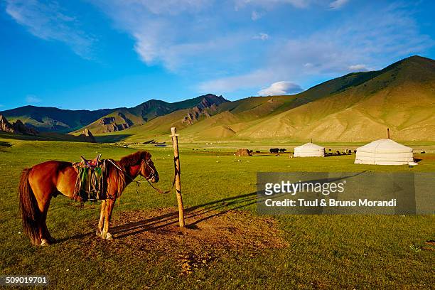 mongolia, bayankhongor province, nomad camp - yurt stock pictures, royalty-free photos & images