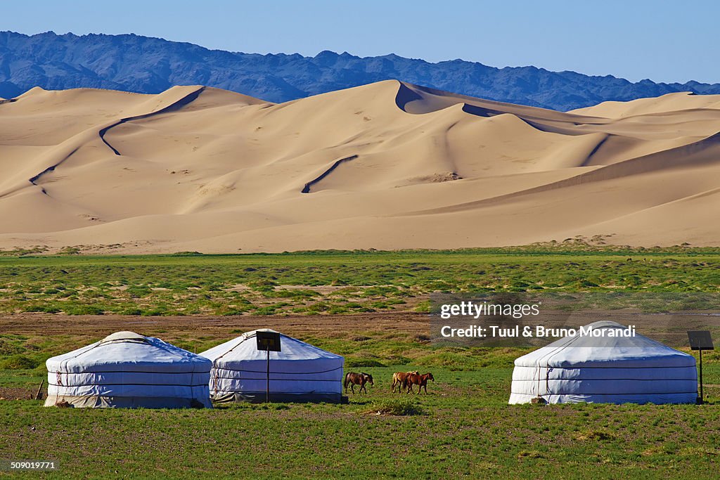 Mongolia, Gobi desert, Khongoryn Els dunes