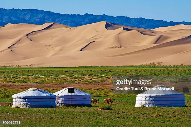 mongolia, gobi desert, khongoryn els dunes - rundzelt stock-fotos und bilder