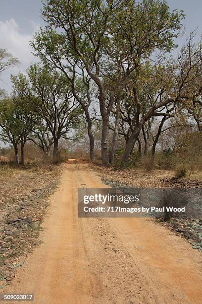 african road - brousse photos et images de collection