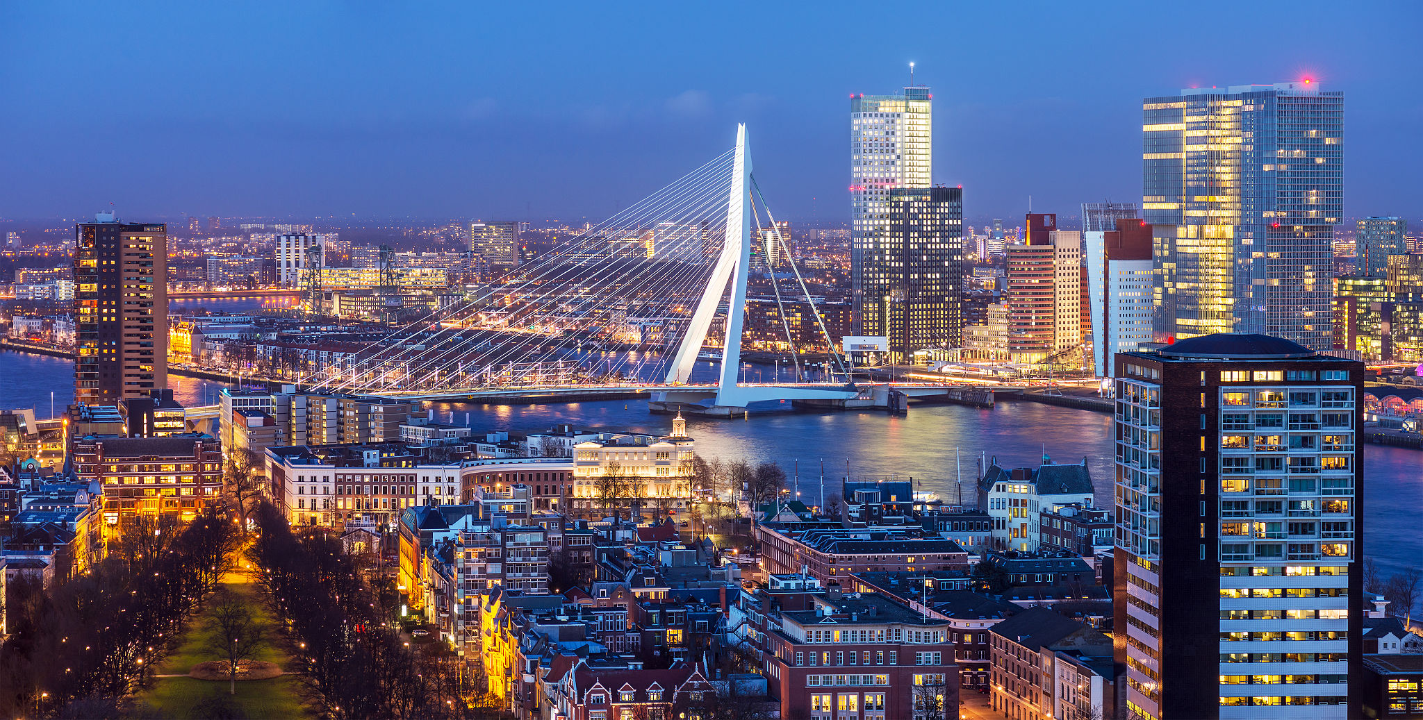 rotterdam city