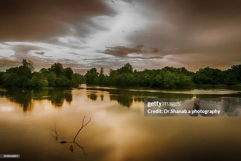 Nature in art