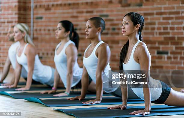 coming into upward facing dog - white spandex shorts stockfoto's en -beelden