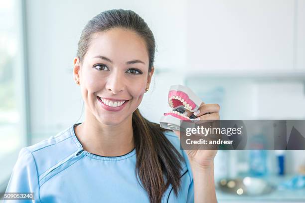 zahnarzt hält eine prothese - künstliches gebiss stock-fotos und bilder