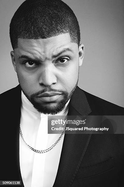 Actor O'Shea Jackson Jr. Poses for a portrait during the 47th NAACP Image Awards presented by TV One at Pasadena Civic Auditorium on February 5, 2016...