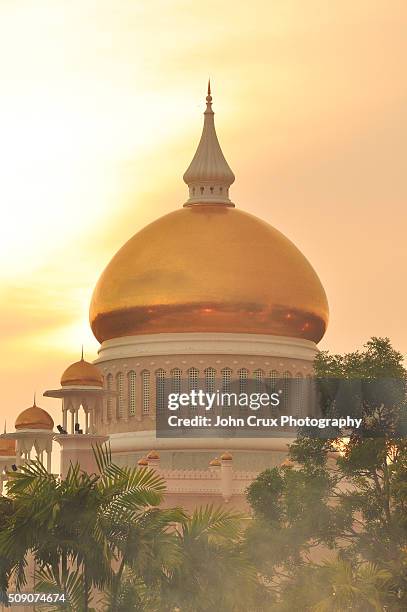 brunei mosque - omar ali saifuddin mosque stock pictures, royalty-free photos & images