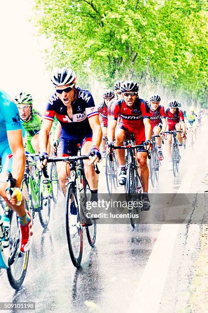 tour de francia 2014 - pelotón fotografías e imágenes de stock