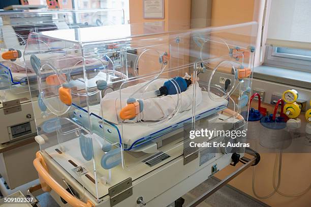 incubator in intensive care unit in hospital - incubator stock pictures, royalty-free photos & images