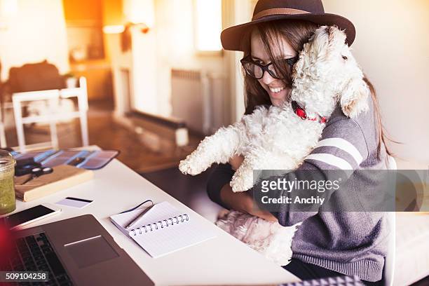 donna che lavora nel suo ufficio e abbracciare il suo cucciolo - different types of dogs foto e immagini stock