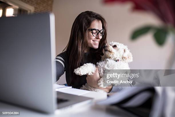 look at me little one. woman and her dog - action laptop stock pictures, royalty-free photos & images