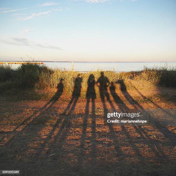 shadows of a family on the beach, norway - fyrbarnsfamilj bildbanksfoton och bilder