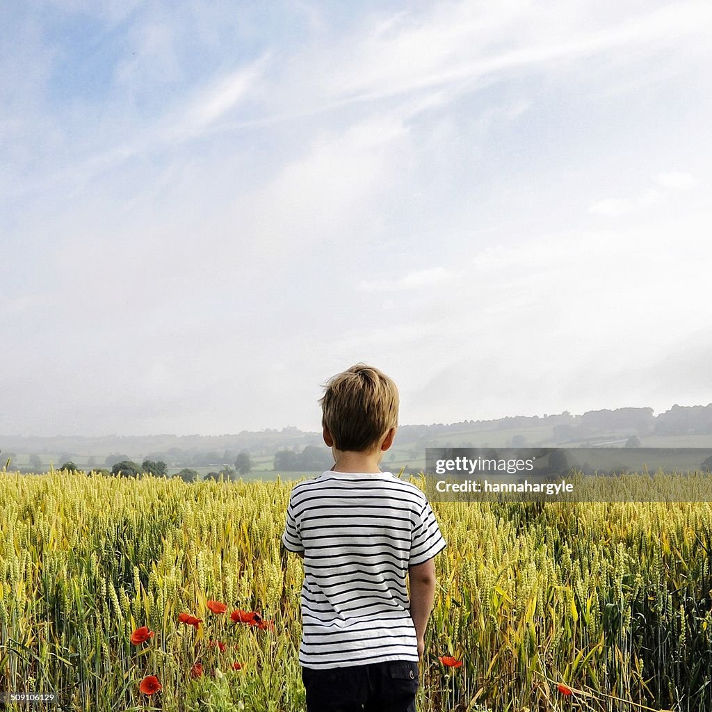 Rear view of boy standing in wheat field