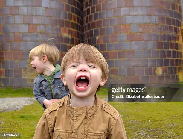 two boys shouting (2-3 years, 4-5 years) - 2 3 years stockfoto's en -beelden