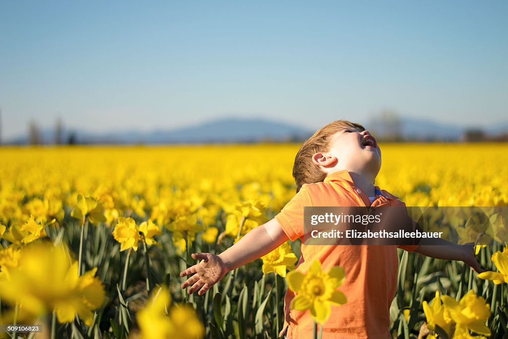 Boy ( 2-3 ) running through daffodil field