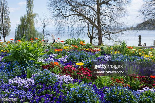 1 314 Mainau Island Stock Photos High Res Pictures And Images Getty 1-314-mainau-island-stock-photos-high-res-pictures-and-images-getty