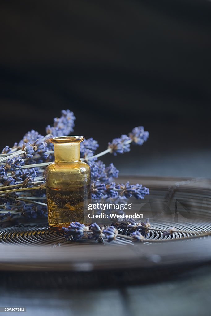 Lavender oil in a glass bottle, twigs of lavender, Lavandula angustifolia