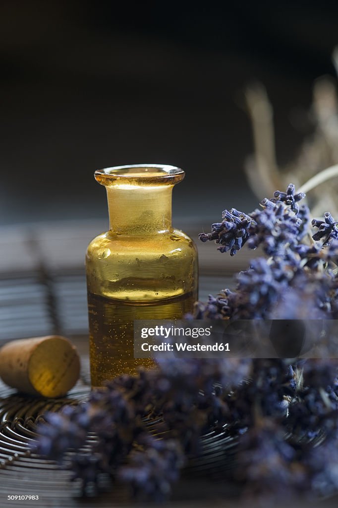 Lavender oil in a glass bottle, twigs of lavender, Lavandula angustifolia