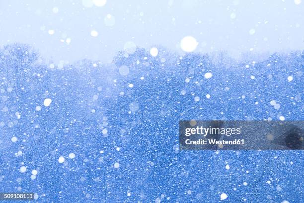 snowstorm - blizzard stock pictures, royalty-free photos & images