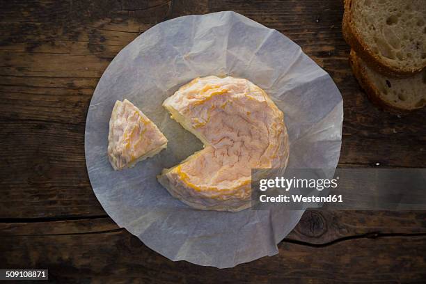 langres cheese, french soft cheese - french soft cheese stock pictures, royalty-free photos & images