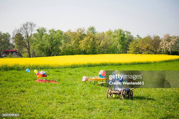 wooden trolley with balloons and table of children's birthday party on a meadow - empty bench with ballon stock pictures, royalty-free photos & images